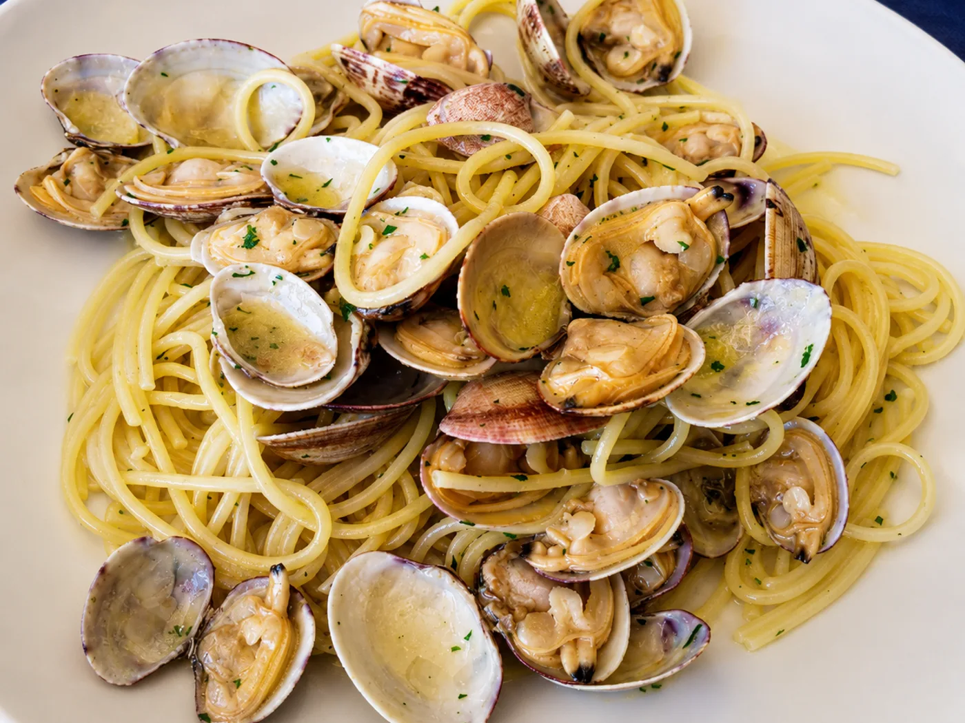 Spaghetti alle vongole appena serviti